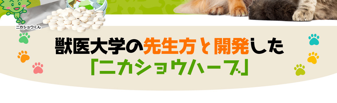 獣医大学の先生方と開発した「ニカショウハーブ」