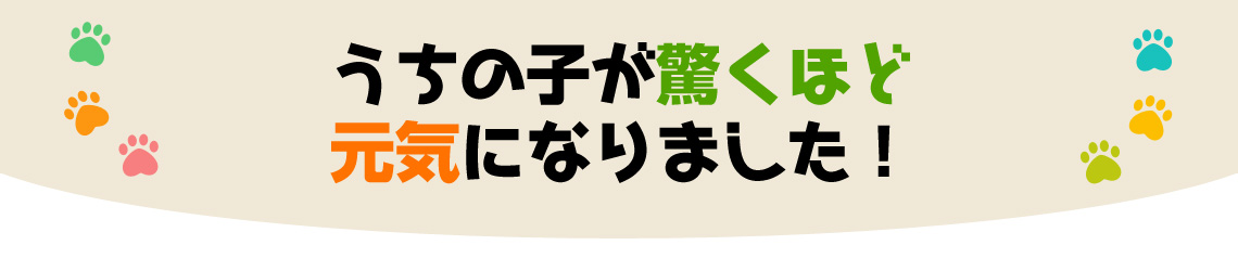 うちの子が驚くほど元気になりました！